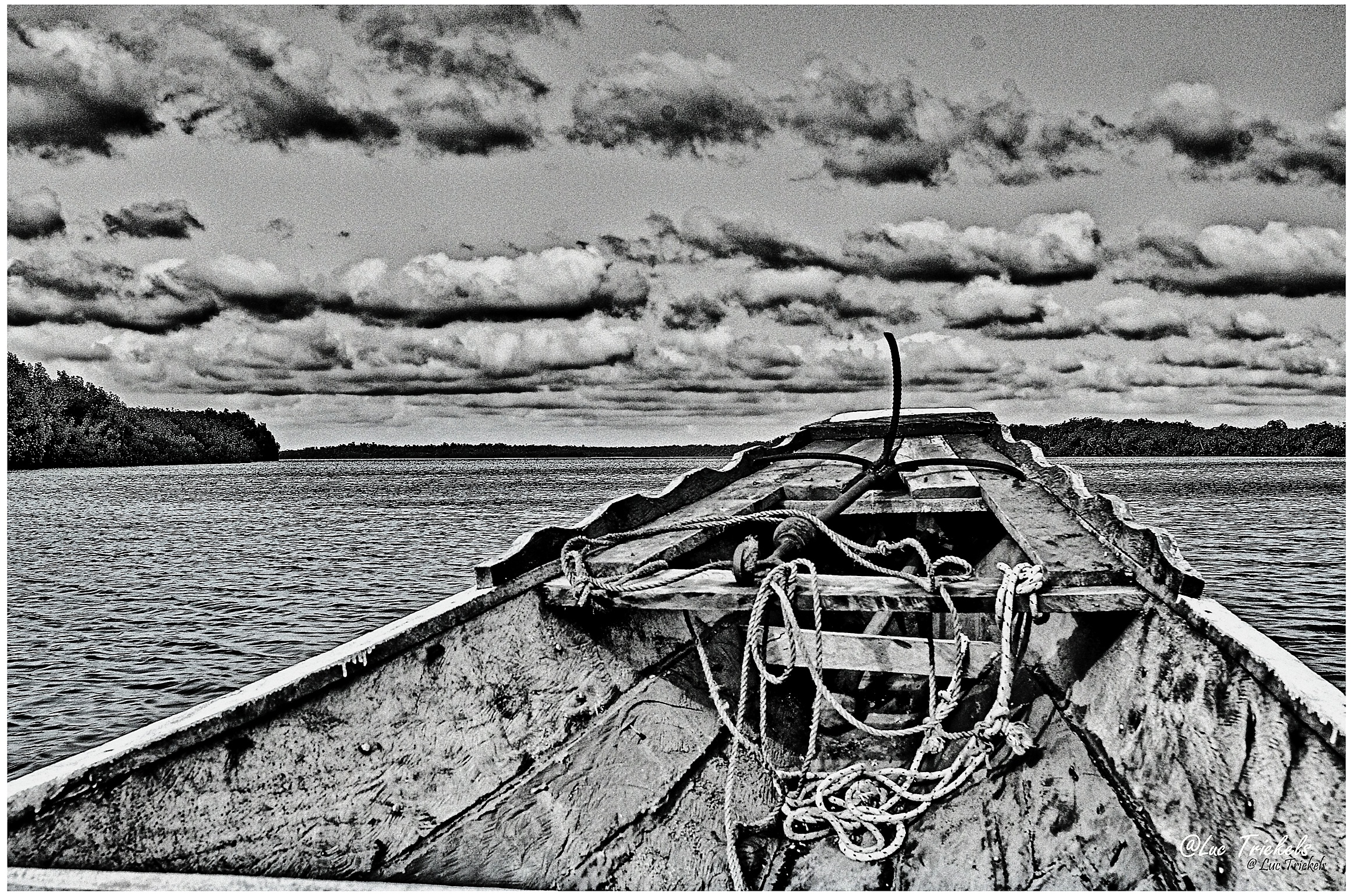 Pirogue